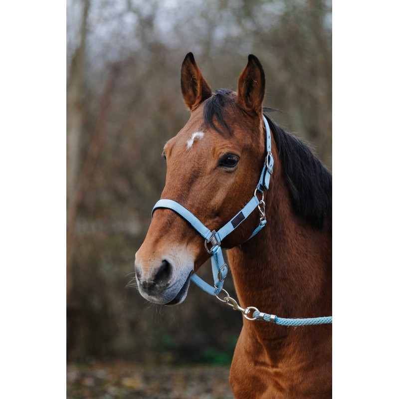 EQUITHEME Spring stájovka pro koně