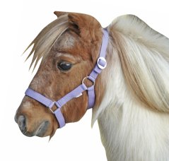 Stájovka Minishetty