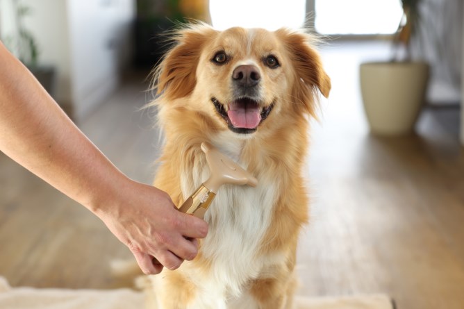 MagicBrush hřeben furminátor pro psy