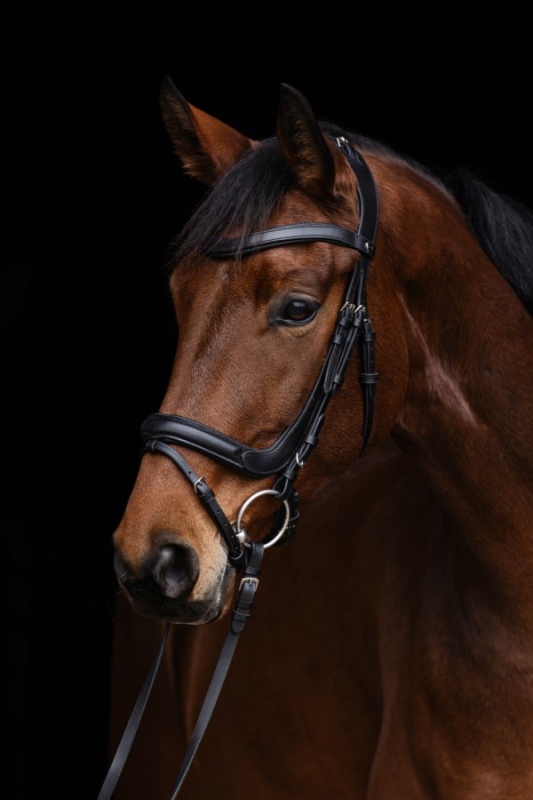 COVALLIERO Anatomic uzdečka pro koně