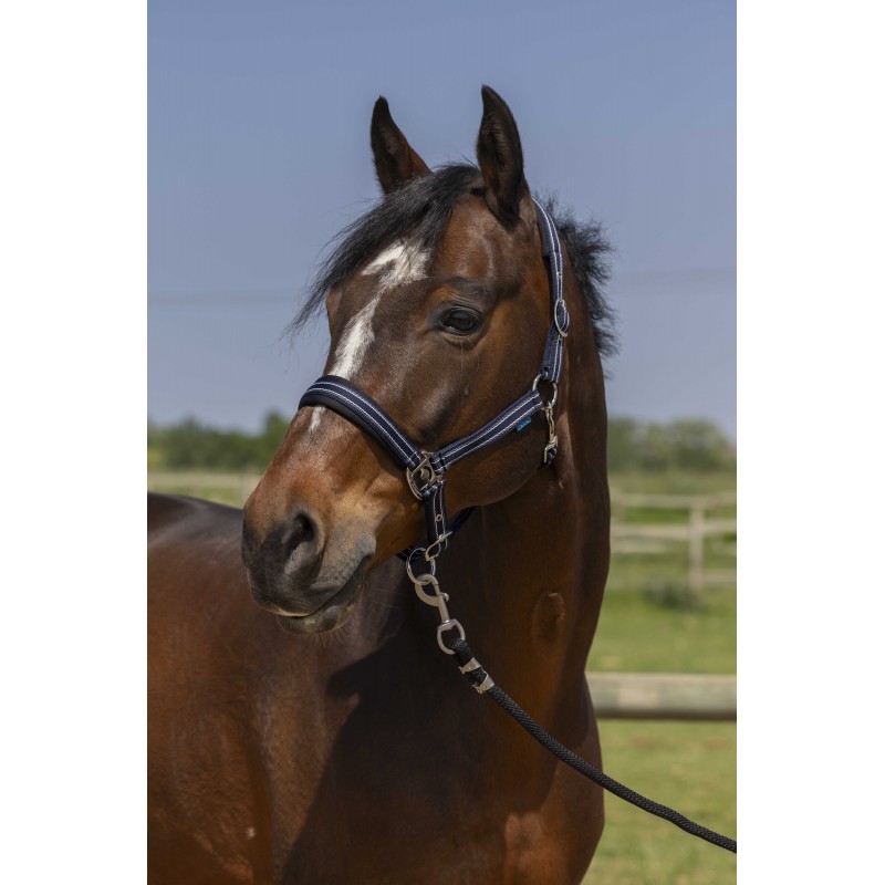 NORTON 4Lines stájovka pro koně