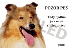 Výstražná tabulka KOLIE DLOUHOSRSTÁ ZLATÁ