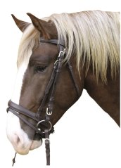 Uzdečka pro chladnokrevníka vel.4 Uzdečka pro chladnokrevníka vel.4