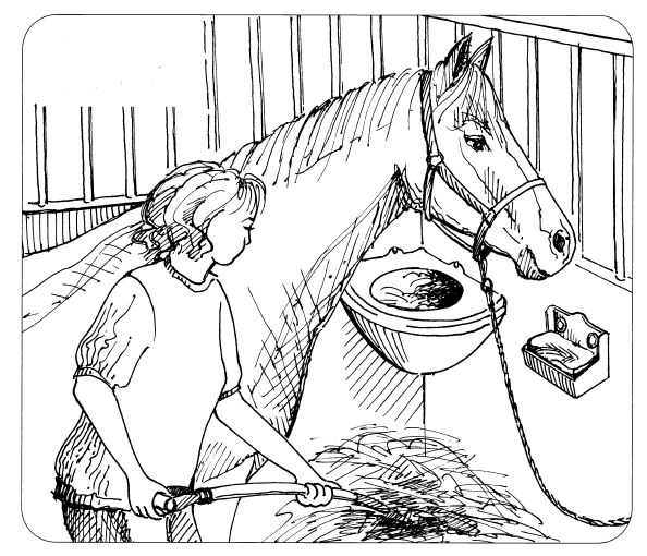 OK PLAST miska pro koně na lizy, objem 2ltr.