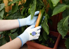 Rukavice zahradní Garden Care