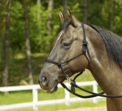 Provazová ohlávka BUSSE Rings Provazová ohlávka BUSSE Rings