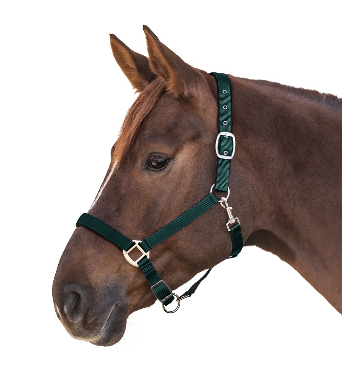 Stájovka WALDHAUSEN Satin