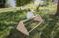 KERBL dřevěný hřad pro slepice a kuřata 96cm