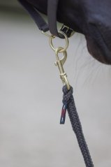 Vodítko pro koně COVALLIERO Classy, 2m