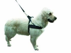Postroj MIAMI PLUS pro psy nylonový