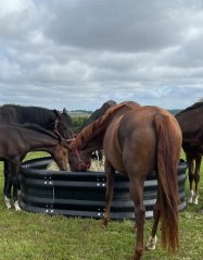 OK PLAST krmelec pro koně na hranaté balíky sena oválný,180x240cm