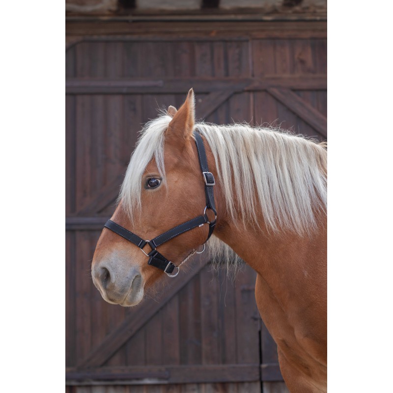 NORTON Draught Horse stájovka pro chladnokrevníky