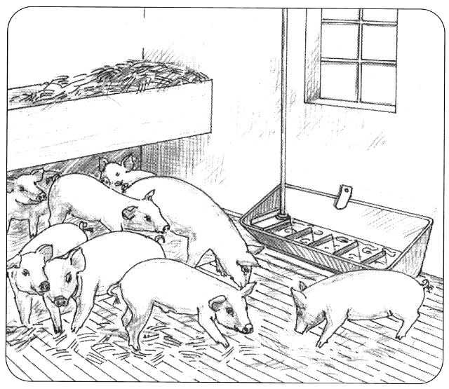 OK Plast žlab pro ovce a prasata uzký, 77cm, 13ltr.