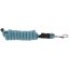 Vodítko pro koně EQUITHEME Spring, 2m