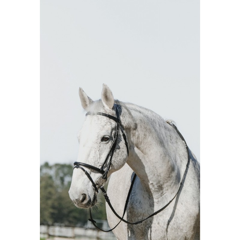 RIDING WORLD uzdečka s kombinovaným nánosníkem pro koně