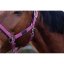 Stájovka pro koně EQUITHEME Spring