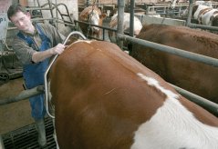 Imobilizér slabinový STANDARD