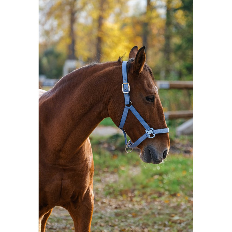 Stájovka pro koně  EQUITHEME Spring