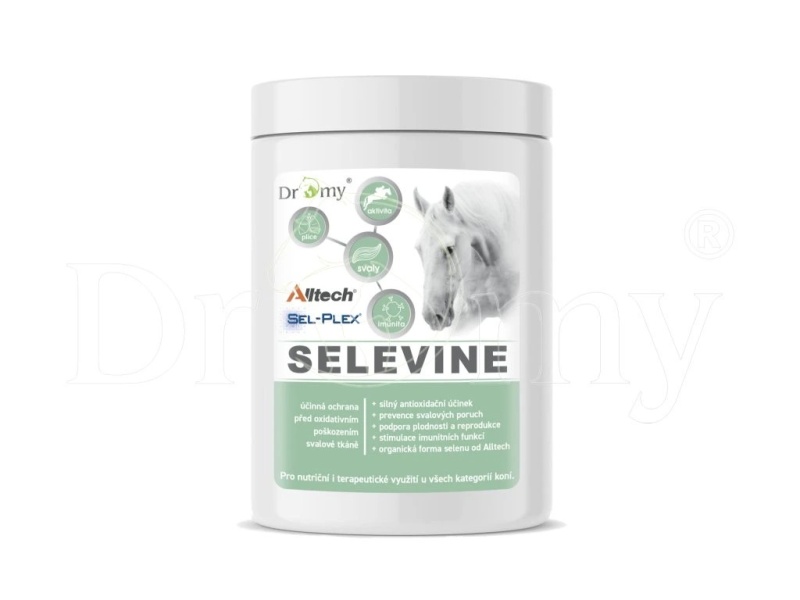 DROMY Selevine pro koně 600g