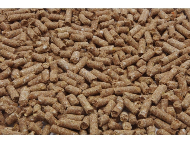 ADW HOBBY HORSE granule pro rekreační a hobby koně 25kg