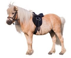 Jezdecké sedlo dětské Pony Economy set