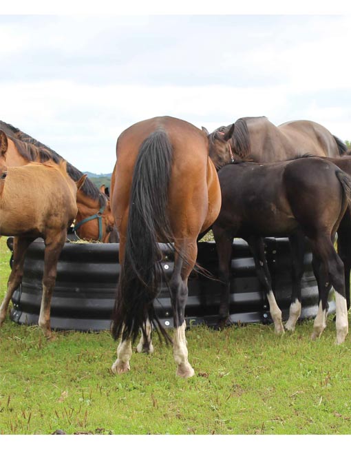 OK PLAST krmelec pro koně na hranaté balíky sena oválný,180x240cm