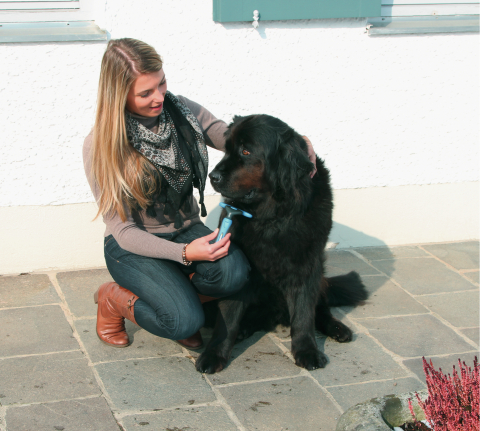 KERBL Pet Hřeben jednořadý