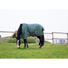 Výběhová deka pro koně EQUITHEME TYREX 600D/150 g Recycled zelená