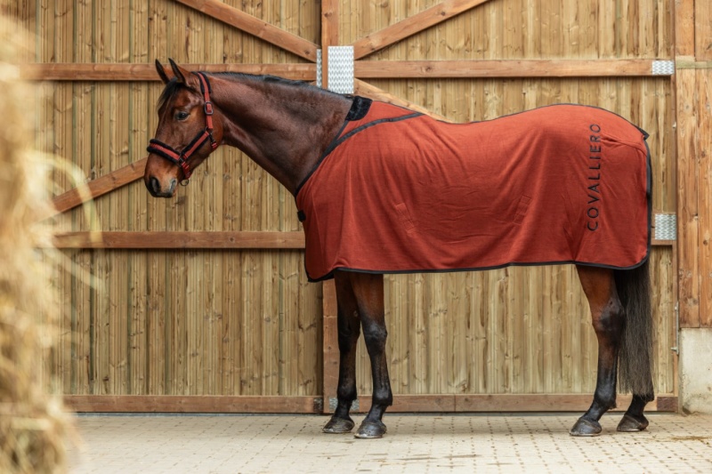 COVALLIERO A/W 2025 odpocovací deka pro koně