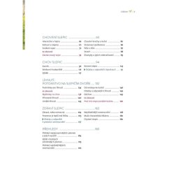 Chov slepic - šťastné slepice na vaší zahradě