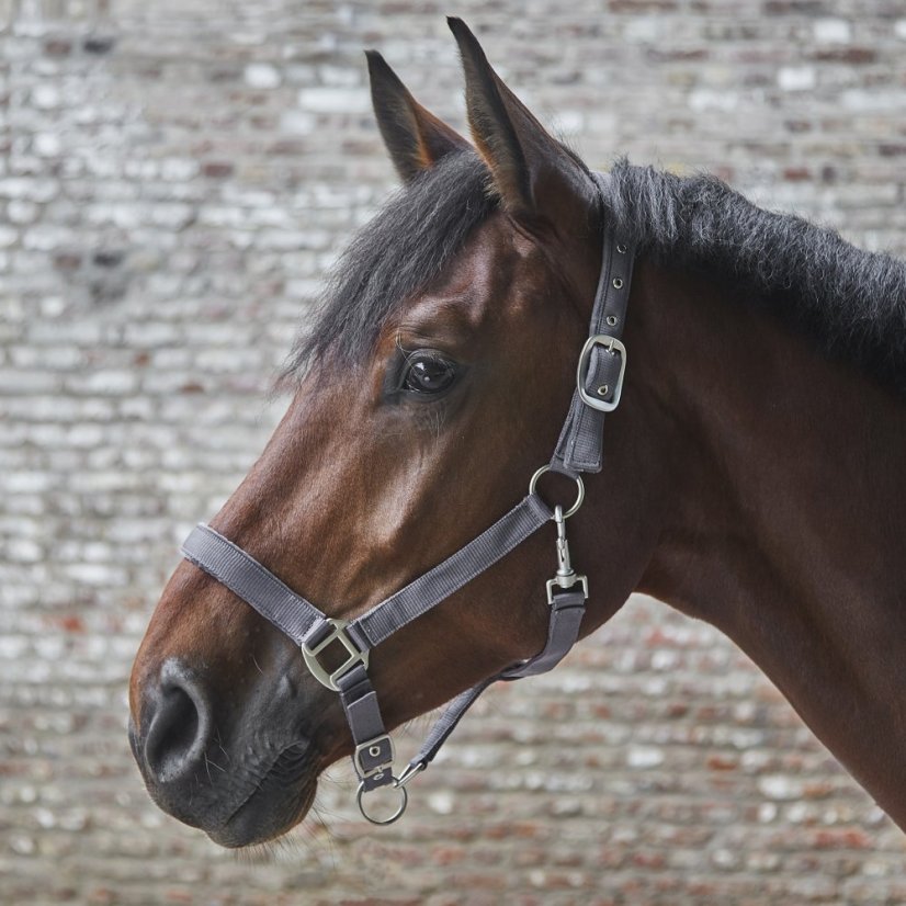 Stájovka WALDHAUSEN Satin