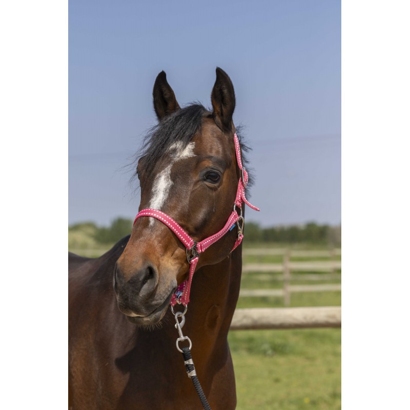 NORTON Grooming stájovka pro koně