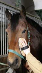 Kartáč nylonový velký dvoubarevný vlas