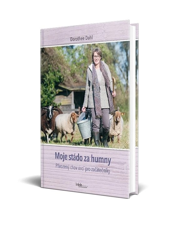 Moje stádo za humny