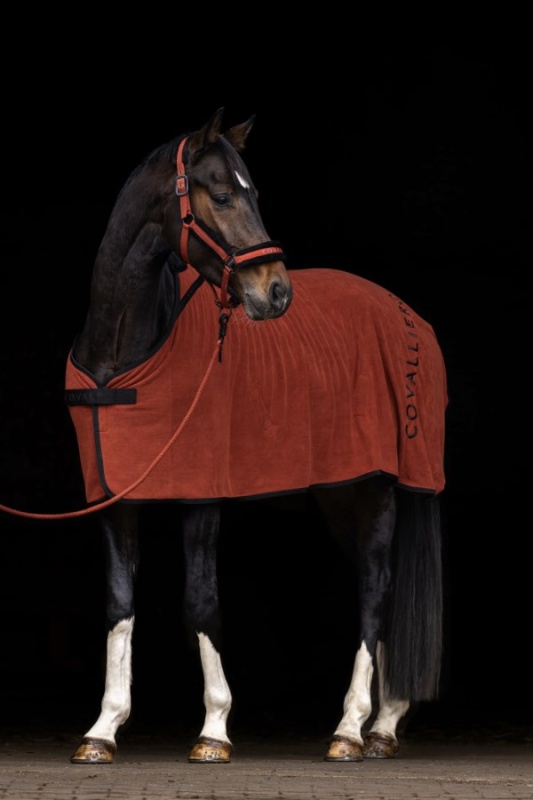 COVALLIERO A/W 2025 odpocovací deka pro koně