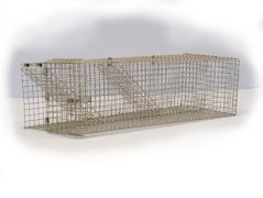 Past na myši dvouřadá DABL 6x11x27cm