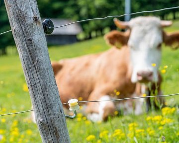 Zásady instalace elektrických ohradníků
