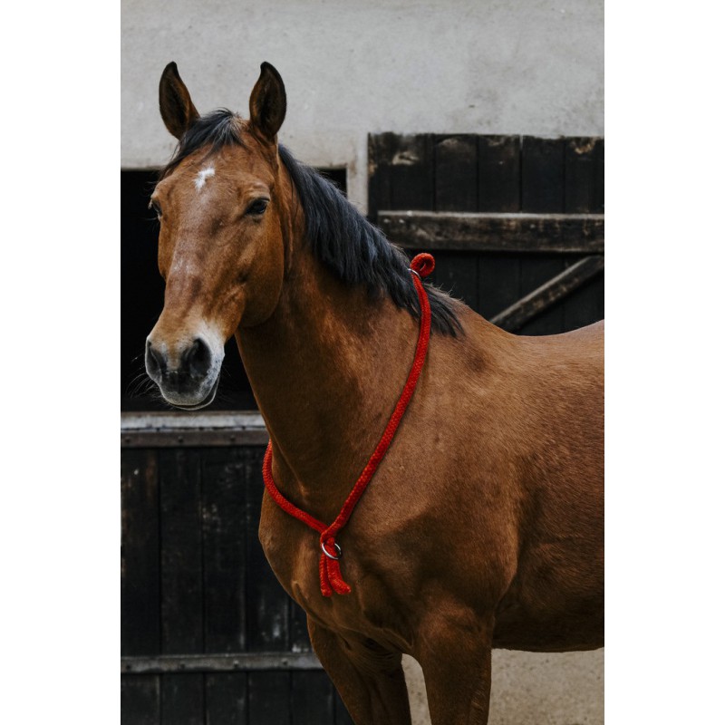 NORTON Ethological nákrční řemen pro koně