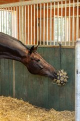 COVALLIERO Hay Ball Flex míč na seno hračka pro koně COVALLIERO Hay Ball Flex míč na seno hračka pro koně