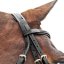 Uzdečka HORZE Prescott kožená