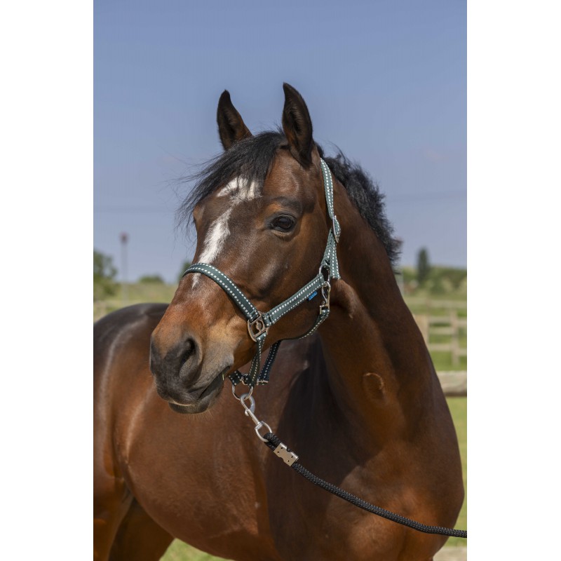 NORTON Grooming stájovka pro koně