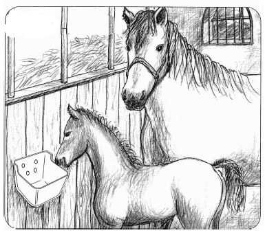 OK PLAST krmný žlab pro hříbata a skot 7ltr