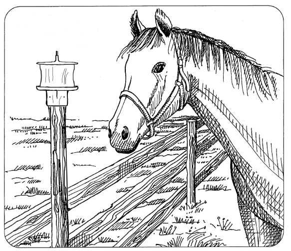 OK PLAST držák lizu pro ovce, koně, skot kruhový s víkem