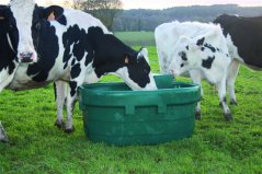 Napajedlo pro koně, skot SHWT na pastviny