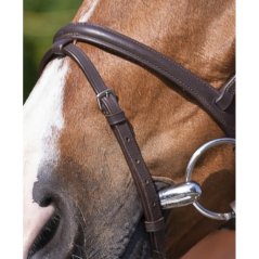 RIDING WORLD uzdečka s kombinovaným nánosníkem pro koně
