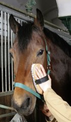 Kartáč nylonový velký dvoubarevný vlas