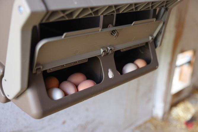 KERBL dvoumístné snáškové hnízdo pro slepice plastové