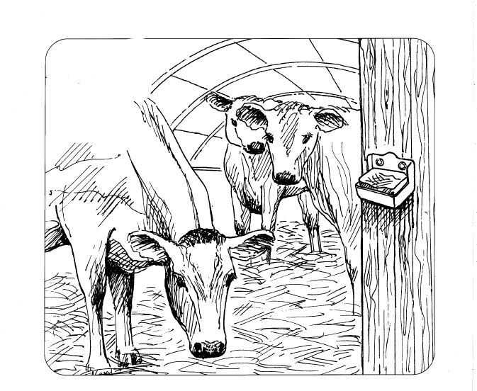 OK PLAST miska pro koně na lizy, objem 2ltr.