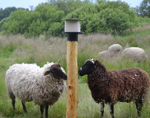 OK PLAST držák lizu pro ovce, koně, skot kruhový s víkem