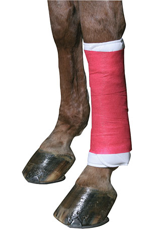 Bandáž adhezivní EquiLastic 4,5mx10cm